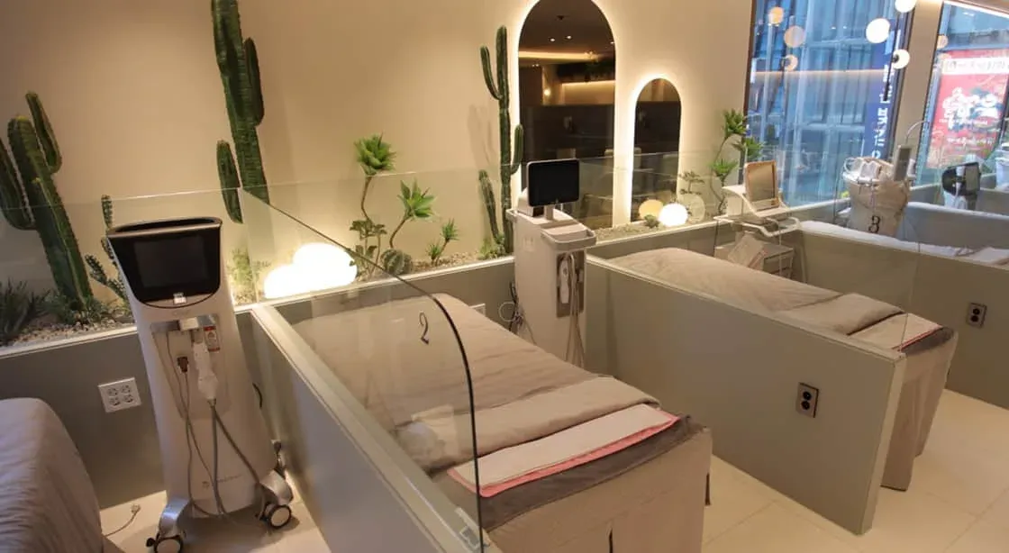 Treatment beds with garden view